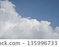 一架飛機飛過夏日湛藍的天空和巨大的積雨雲。 135996733
