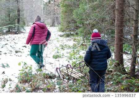 Winter woods walk, two figures and a sled. 135996837
