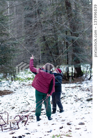 A parent points out something interesting to their children while sledding in a snowy forest. A parent points out something interesting to their children while sledding in a snowy forest. 135996839
