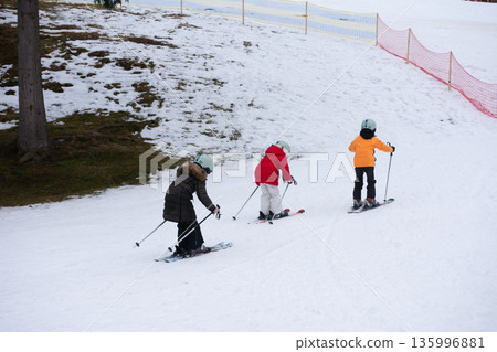 Skiers glide down a gentle slope during a brisk winter afternoon in a scenic snow covered landscape with soft sunlight filtering through the trees 135996881