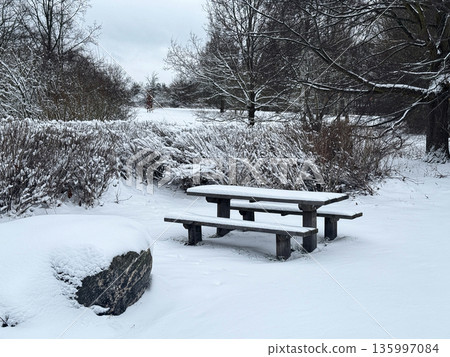 wooden bench in winter park 135997084