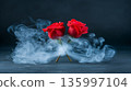Bright scarlet roses emit fragrant smoke while studio remains filled with misty vapor and dim light 135997104