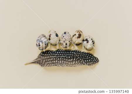Eggs with feather on a yellow pastel background. Easter minimal concept. 135997140