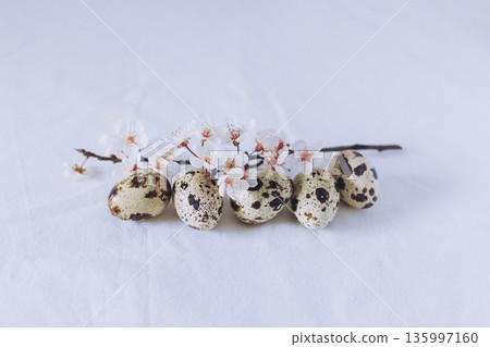 Beautiful branch with white blossom and eggs on a white background. Minimal concept. Beautiful branch with white blossom and eggs on a white background. Minimal concept. 135997160