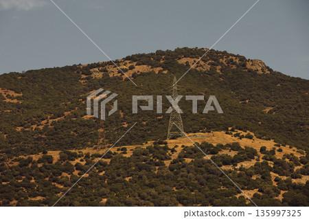 Metal structures along the roads, August 2025 135997325