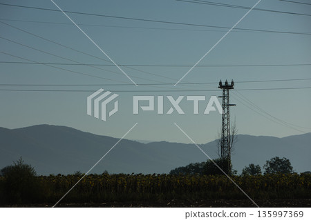 Metal structures along the roads, August 2025 135997369