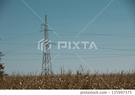 Metal structures along the roads, August 2025 135997375