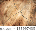 Close-Up Texture of Cracked Wooden Tree Slice 135997435