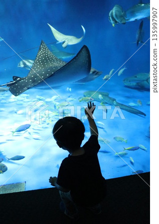 [兵庫縣] 神戶須磨海洋世界（須磨水族館） 135997907