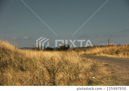 A road for summer travel on a sunny day in August 2025 A road for summer travel on a sunny day in August 2025 135997938