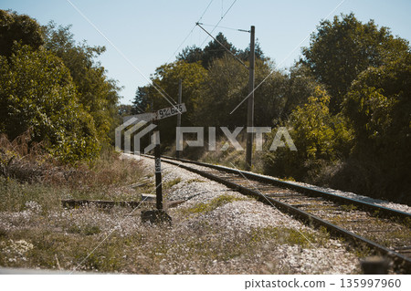 A road for summer travel on a sunny day in August 2025 135997960