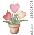 Watercolor illustration of heart-shaped flowers with green leaves growing in a clay pot. Isolated on a white background, hand-drawn. For romantic gifts, botanical cards, wedding invitations. 135998005