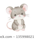 Cute gray mouse with big eyes, hand-drawn watercolor illustration, isolated on white background. Perfect for children's book art, invitations, and nursery decor 135998021