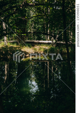 Amazing view of trees and lake in a natural park Krka, Croatia. Travel destination in Croatia. 135998031