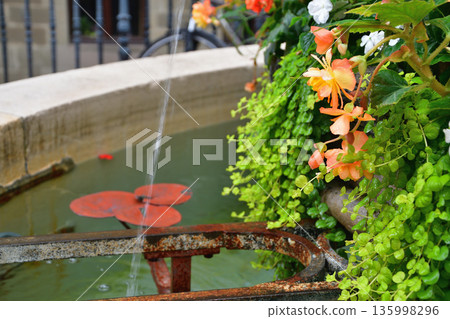 August 15, 2022: A street corner with a small fountain and flowers in the old town of Geneva, Switzerland 135998296
