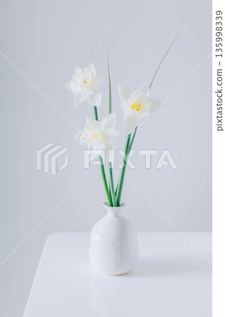 Beautiful flowers of white daffodil (narcissus) in a vase on a light grey background. Beautiful flowers of white daffodil (narcissus) in a vase on a light grey background. 135998339