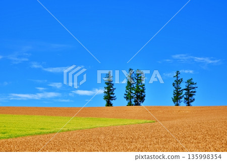 溫和七山 溫和七山 135998354