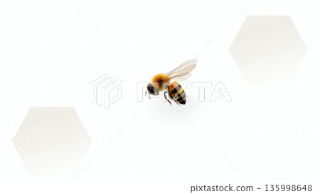 Bee and Honeycomb Banner for World Bee Day. AI generated image. 135998648