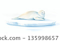 Seal Pup on Ice, International Day for the Protection of Seals, Wildlife Conservation Concept, banner with copy space. AI generated image. 135998657