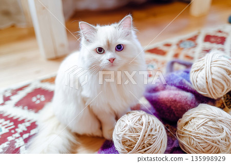 白貓玩毛線，放鬆的手作時光 135998929