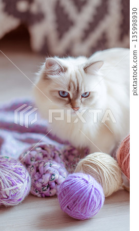 白貓玩毛線，放鬆的手作時光 135998930