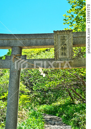 那須溫泉神社 - 通往殺生石庭園的鳥居(春季,五月) 那須溫泉神社 - 通往殺生石庭園的鳥居(春季,五月) 135999378