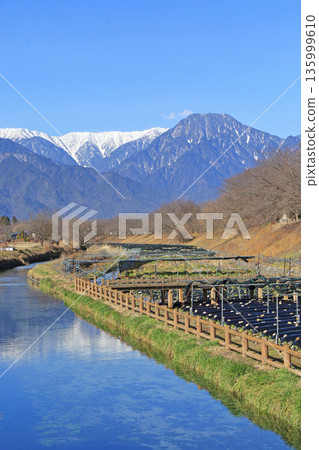 冬天的安曇野穗高川芥末園 冬天的安曇野穗高川芥末園 135999610