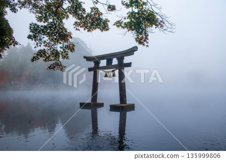 金林湖的鳥居與晨霧 135999806