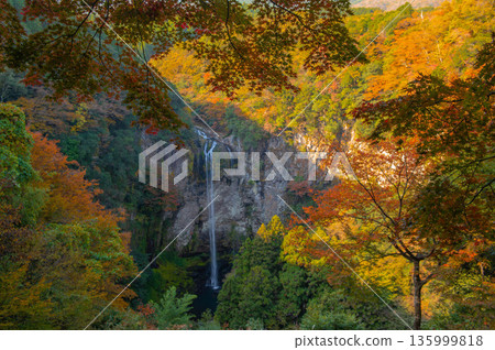 從觀景台上看到的秋季福野瀑布 135999818