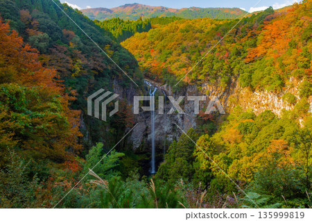 從觀景台上看到的秋季福野瀑布 135999819