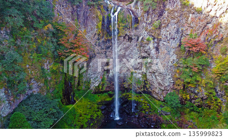 Drone aerial photography of Fukukino Falls in autumn 135999823