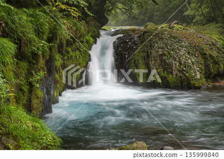 Waterfall of Kikuchi Valley dawn 135999840