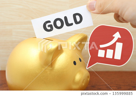 A piggy bank image representing rising gold prices and gold asset creation. A piggy bank image representing rising gold prices and gold asset creation. 135999885