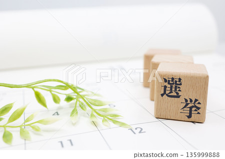 日曆上標示選舉區域和投票日期。 135999888