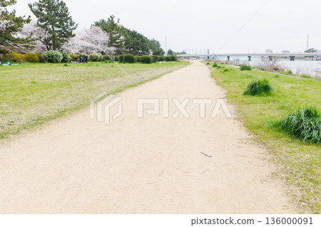 穆科河岸邊的櫻花 136000091