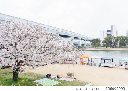 穆科河岸邊的櫻花 穆科河岸邊的櫻花 136000093