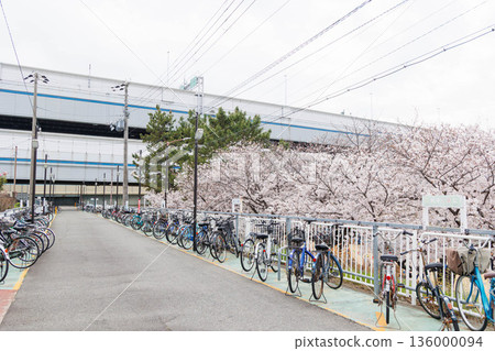 穆科河岸邊的櫻花 136000094