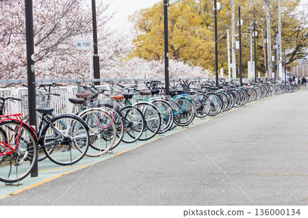 武庫川站停車場櫻花盛開 136000134