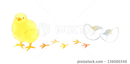 可愛的小雞、雞蛋和腳印手繪水彩插圖 136000348