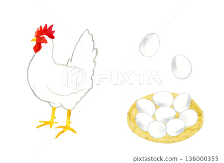 Set of white chickens and eggs - hand-drawn watercolor illustration 136000355