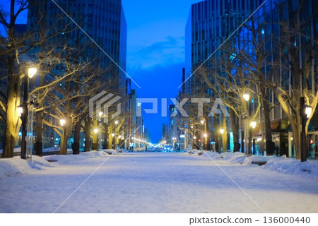 黃昏時分,白雪覆蓋著城市大道和街道。 黃昏時分,白雪覆蓋著城市大道和街道。 136000440