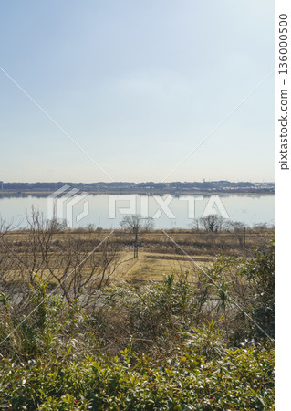 【千葉縣】從千葉縣立因蠻沼公園的觀景台附近眺望因蠻湖（西因蠻沼）。 136000500