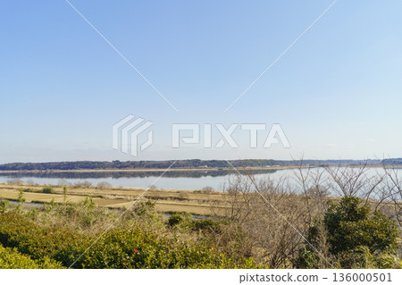 【千葉縣】從千葉縣立因蠻沼公園的觀景台附近眺望因蠻湖（西因蠻沼）。 136000501