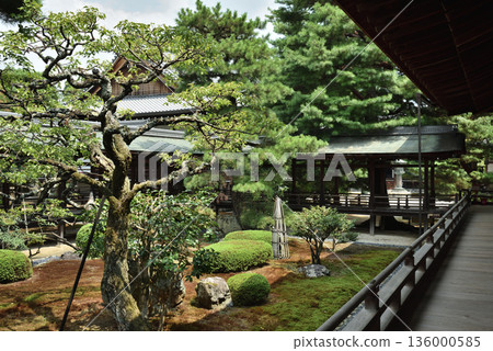 Daikakuji Temple: Garden and Murasame Corridor seen from the Shinden Hall (Ukyo Ward, Kyoto City) 136000585