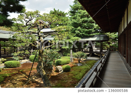 大覺寺:從神殿眺望庭園和村雨迴廊(京都市右京區) 大覺寺:從神殿眺望庭園和村雨迴廊(京都市右京區) 136000586