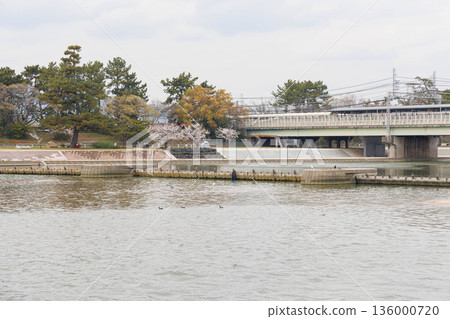 從穆科河河床看到的景色 從穆科河河床看到的景色 136000720