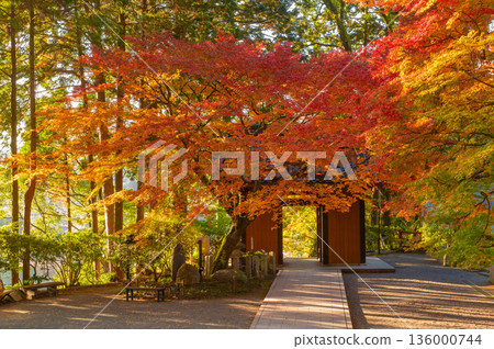 Daikozenji Temple "Niomon (Sanmon)" during the autumn leaves 136000744