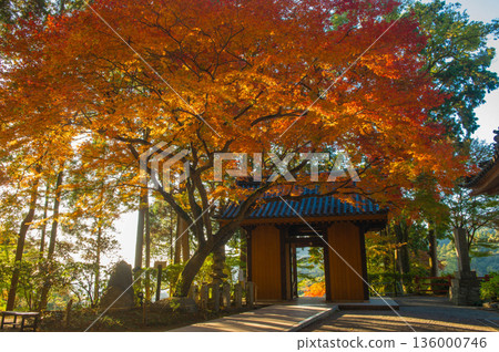 紅葉期間的大光禪寺“仁王（三門）” 136000746