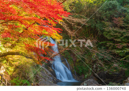 秋天神色的瀑布 136000748