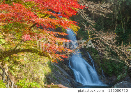 Waterfall of the look of autumn 136000750